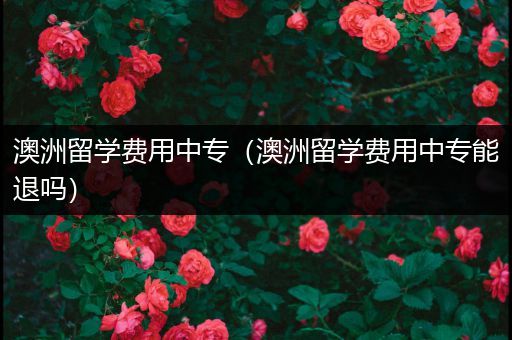 澳洲留学费用中专（澳洲留学费用中专能退吗）