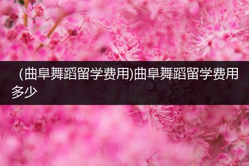 （曲阜舞蹈留学费用)曲阜舞蹈留学费用多少