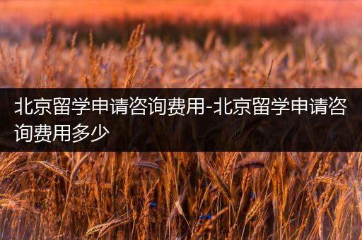 北京留学申请咨询费用-北京留学申请咨询费用多少
