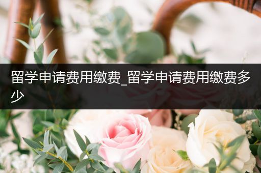 留学申请费用缴费_留学申请费用缴费多少