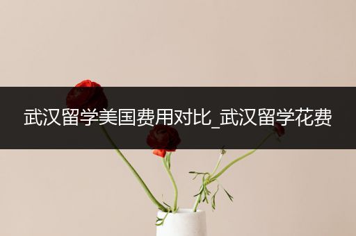 武汉留学美国费用对比_武汉留学花费