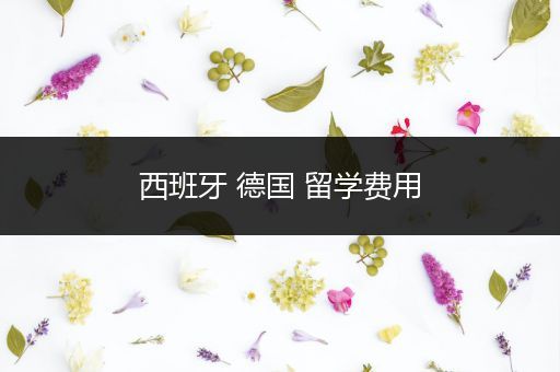 西班牙 德国 留学费用