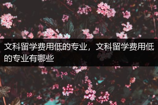 文科留学费用低的专业，文科留学费用低的专业有哪些