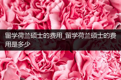 留学荷兰硕士的费用_留学荷兰硕士的费用是多少