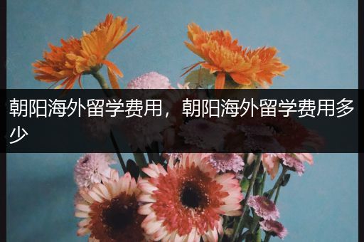 朝阳海外留学费用，朝阳海外留学费用多少