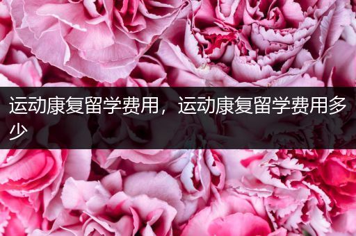 运动康复留学费用，运动康复留学费用多少