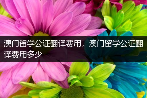 澳门留学公证翻译费用，澳门留学公证翻译费用多少