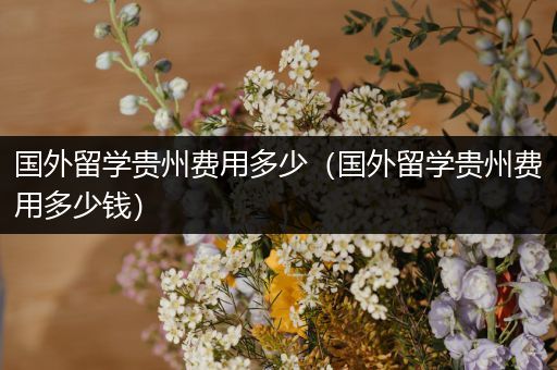 国外留学贵州费用多少（国外留学贵州费用多少钱）