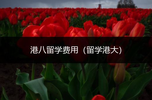 港八留学费用（留学港大）