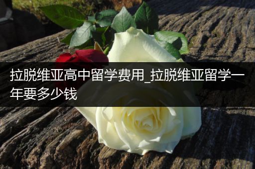 拉脱维亚高中留学费用_拉脱维亚留学一年要多少钱