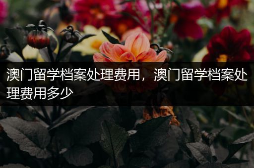 澳门留学档案处理费用，澳门留学档案处理费用多少