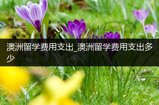 澳洲留学费用支出_澳洲留学费用支出多少