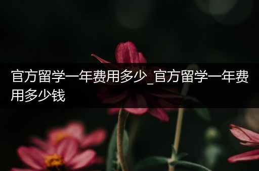 官方留学一年费用多少_官方留学一年费用多少钱