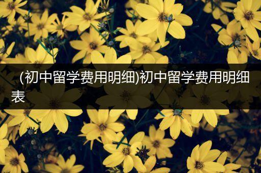 （初中留学费用明细)初中留学费用明细表