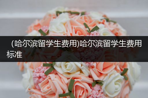 （哈尔滨留学生费用)哈尔滨留学生费用标准
