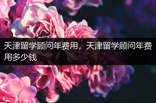 天津留学顾问年费用，天津留学顾问年费用多少钱