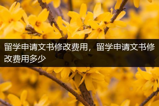 留学申请文书修改费用，留学申请文书修改费用多少