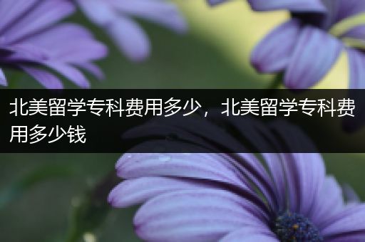 北美留学专科费用多少，北美留学专科费用多少钱