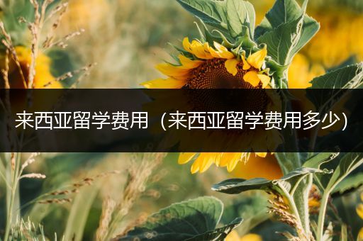 来西亚留学费用（来西亚留学费用多少）