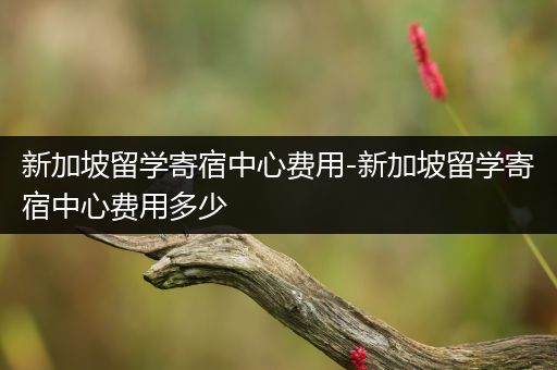 新加坡留学寄宿中心费用-新加坡留学寄宿中心费用多少