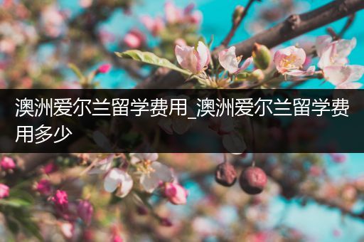 澳洲爱尔兰留学费用_澳洲爱尔兰留学费用多少
