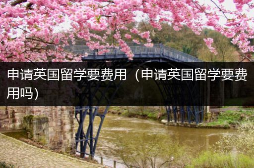 申请英国留学要费用（申请英国留学要费用吗）