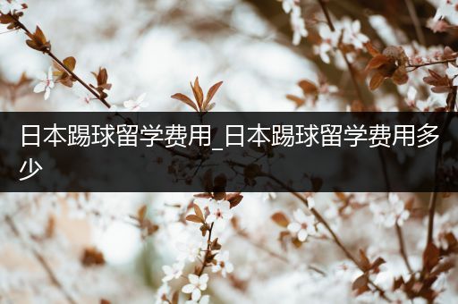 日本踢球留学费用_日本踢球留学费用多少