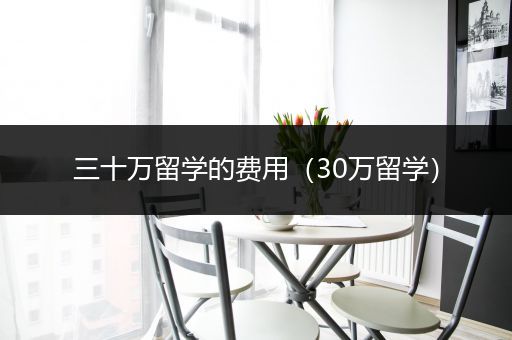三十万留学的费用（30万留学）