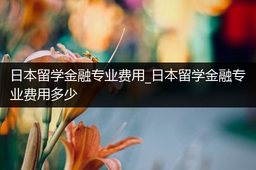日本留学金融专业费用_日本留学金融专业费用多少
