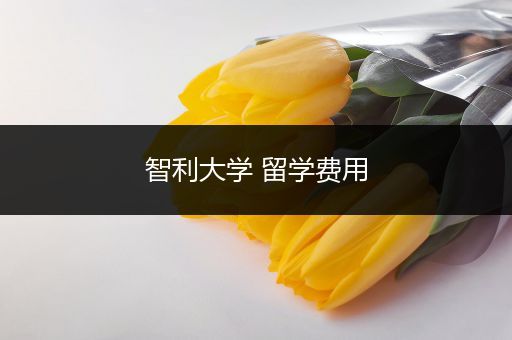 智利大学 留学费用