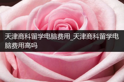 天津商科留学电脑费用_天津商科留学电脑费用高吗