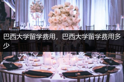 巴西大学留学费用，巴西大学留学费用多少