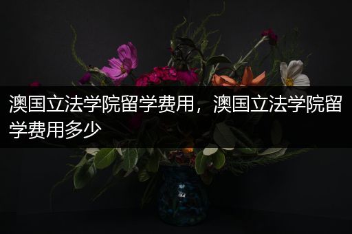 澳国立法学院留学费用，澳国立法学院留学费用多少