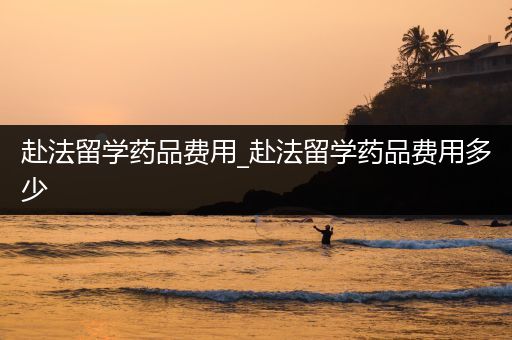 赴法留学药品费用_赴法留学药品费用多少