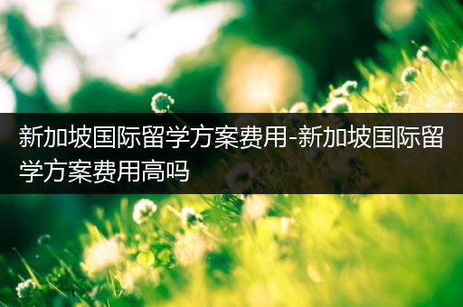 新加坡国际留学方案费用-新加坡国际留学方案费用高吗
