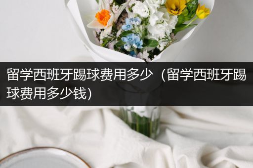 留学西班牙踢球费用多少（留学西班牙踢球费用多少钱）