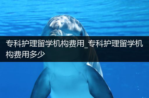 专科护理留学机构费用_专科护理留学机构费用多少