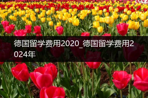 德国留学费用2020_德国留学费用2024年