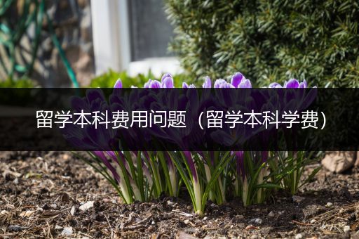 留学本科费用问题（留学本科学费）