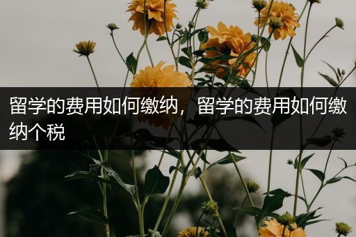 留学的费用如何缴纳，留学的费用如何缴纳个税