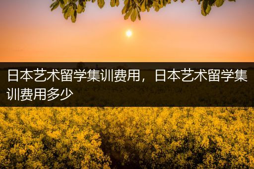 日本艺术留学集训费用，日本艺术留学集训费用多少