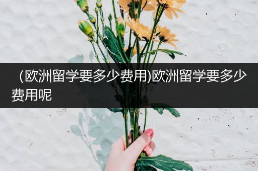 （欧洲留学要多少费用)欧洲留学要多少费用呢