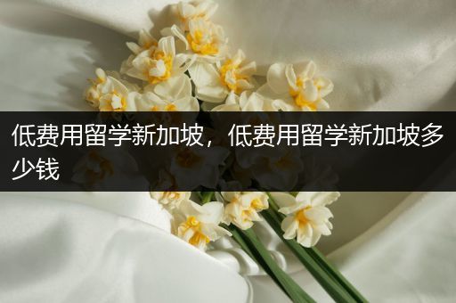 低费用留学新加坡，低费用留学新加坡多少钱