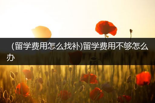 （留学费用怎么找补)留学费用不够怎么办