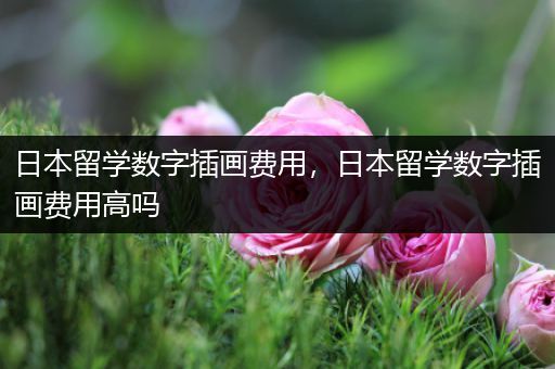 日本留学数字插画费用，日本留学数字插画费用高吗
