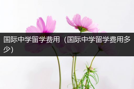 国际中学留学费用（国际中学留学费用多少）