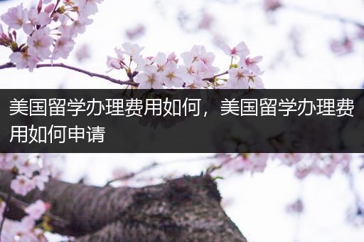 美国留学办理费用如何，美国留学办理费用如何申请