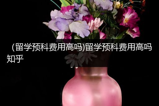 （留学预科费用高吗)留学预科费用高吗知乎