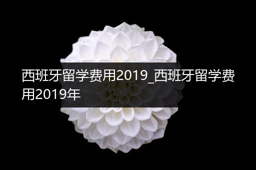 西班牙留学费用2019_西班牙留学费用2019年