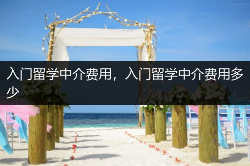 入门留学中介费用，入门留学中介费用多少